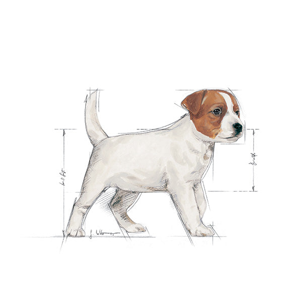 Royal Canin Mini Puppy - 8 kg (3)