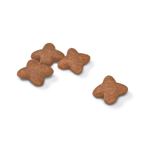 Royal Canin Mini Adult - 800g (2)