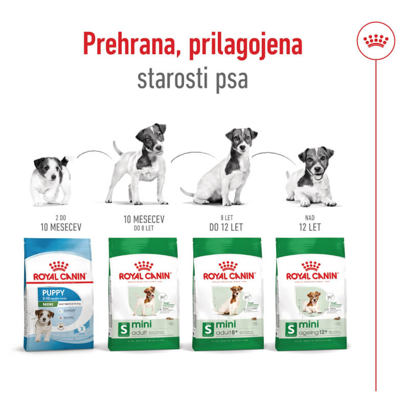 Royal Canin Mini Ageing +12 - 1,5 kg (2)