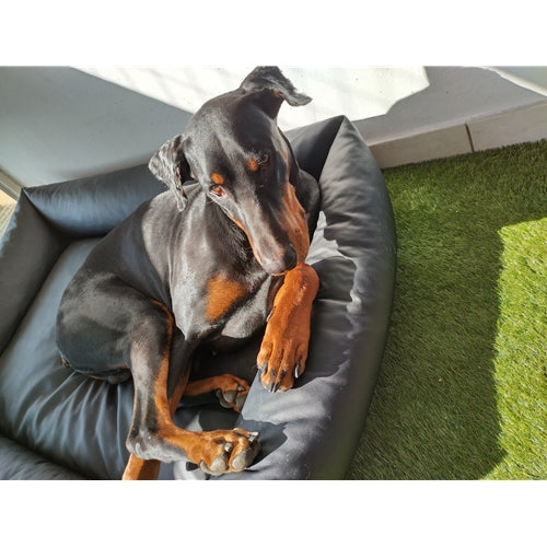 Mr.Pet spletna trgovina