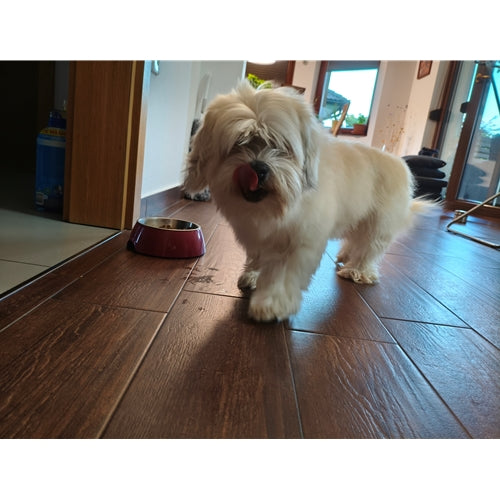 Mr.Pet spletna trgovina