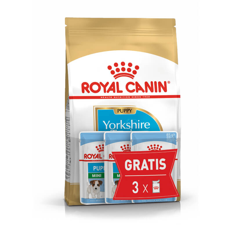 Royal Canin Yorkshire Terrier Puppy - 1,5 kg (5)