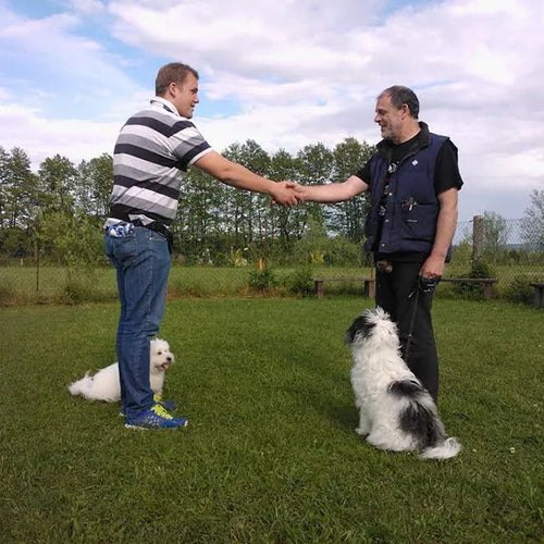 Spletna trgovina Mr.Pet