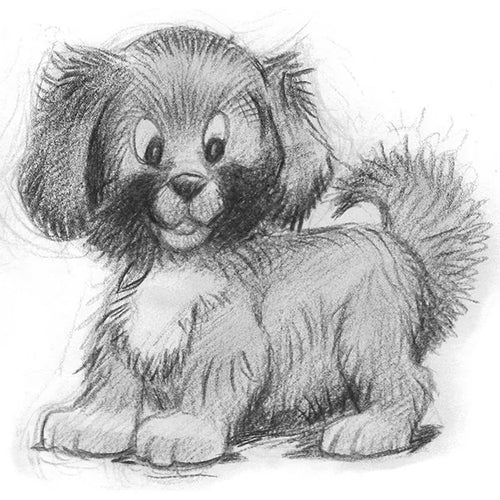 Spletna trgovina Mr.Pet