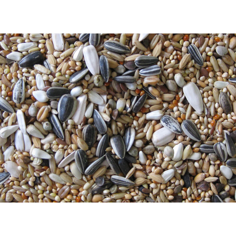 Deli Nature Premium hrana za večje papige (nimfa) - 1 kg (2)