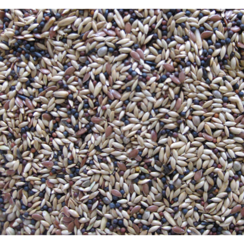 Deli Nature Premium hrana za kanarčke - 4 kg (2)
