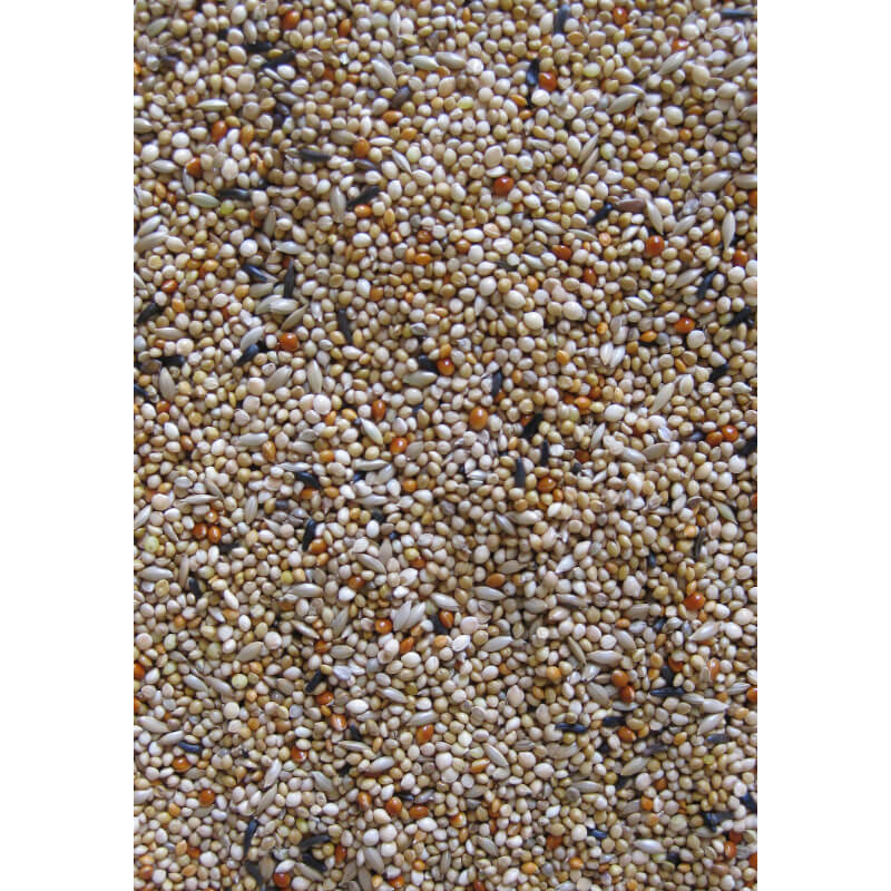 Deli Nature Premium hrana za eksote - 4 kg (2)