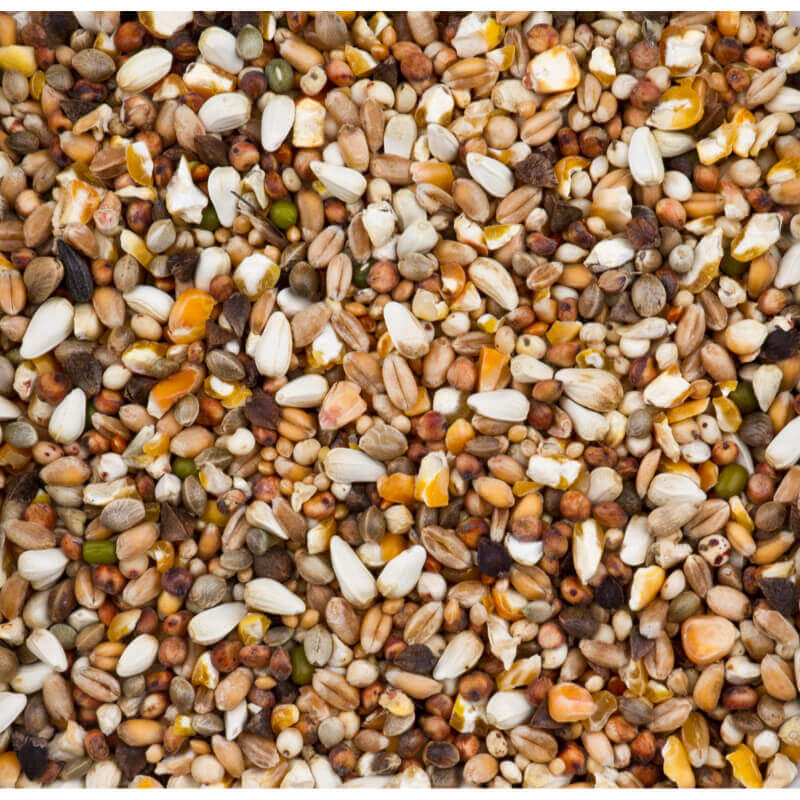 Deli Nature Premium hrana za grlice - 4 kg (2)