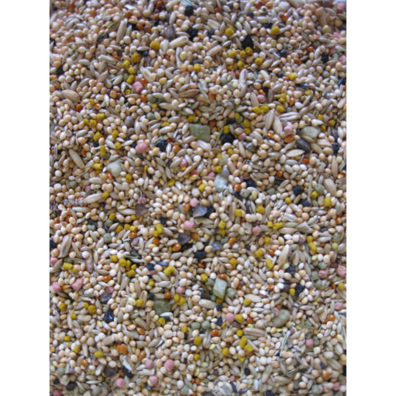 Deli Nature Birdelicious hrana za skobčevke - 0,8 kg (2)