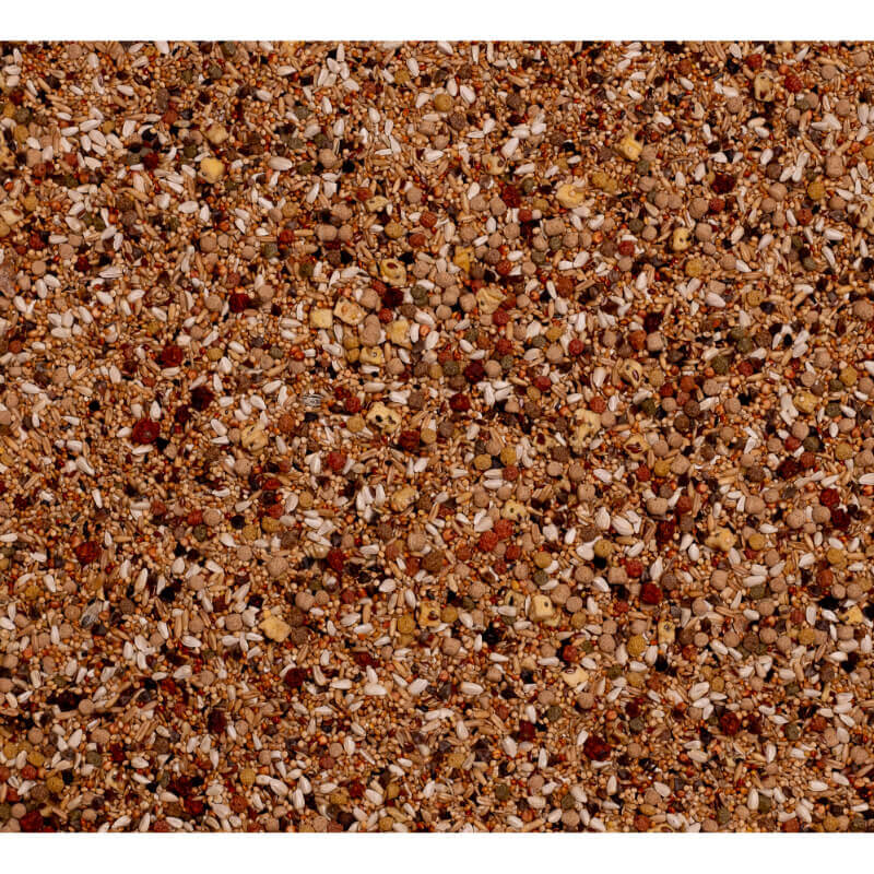 Deli Nature Birdelicious hrana za agapornise - 0,8 kg (2)