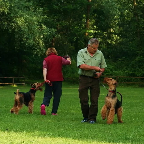 Spletna trgovina Mr.Pet