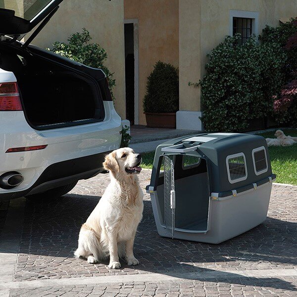 Stefanplast Gulliver 5 Plus transporter - 81 x 61 x 60 cm (2)