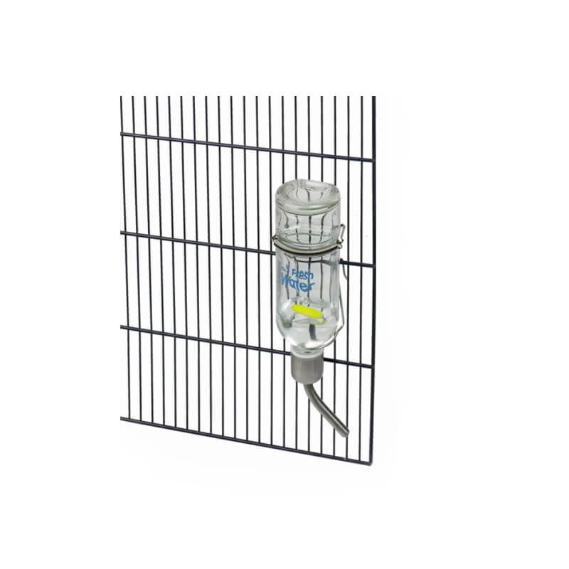 Nobby stekleni napajanik - 355 ml (2)