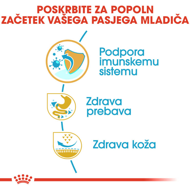 Royal Canin French Bulldog Puppy - 3 kg (3)