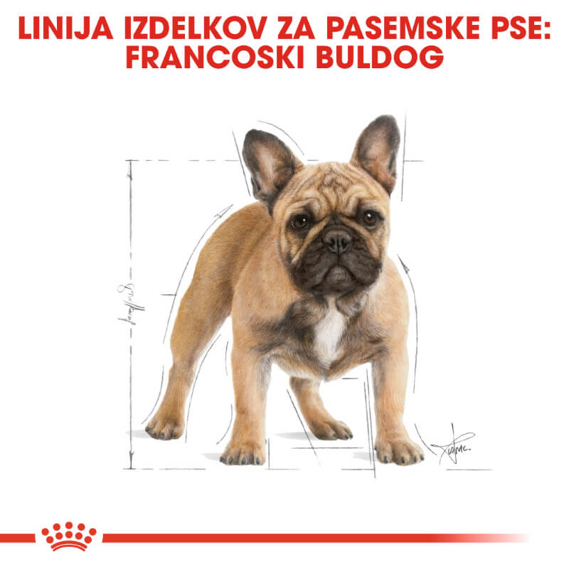 Royal Canin French Bulldog Adult - 3 kg (4)