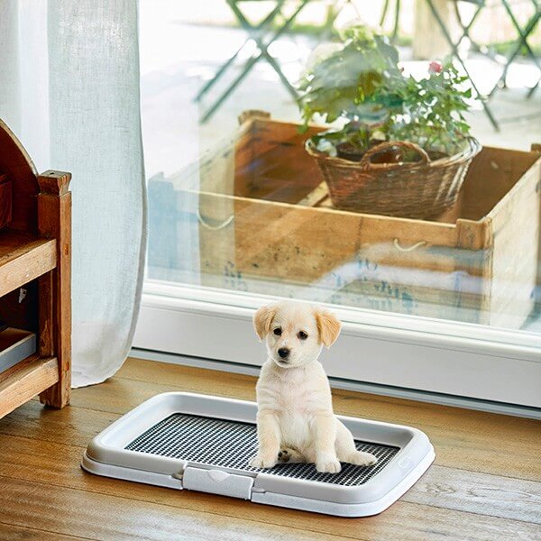 Stefanplast Puppy Training Set (2)