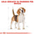 Royal Canin Beagle Adult - 3 kg (3)