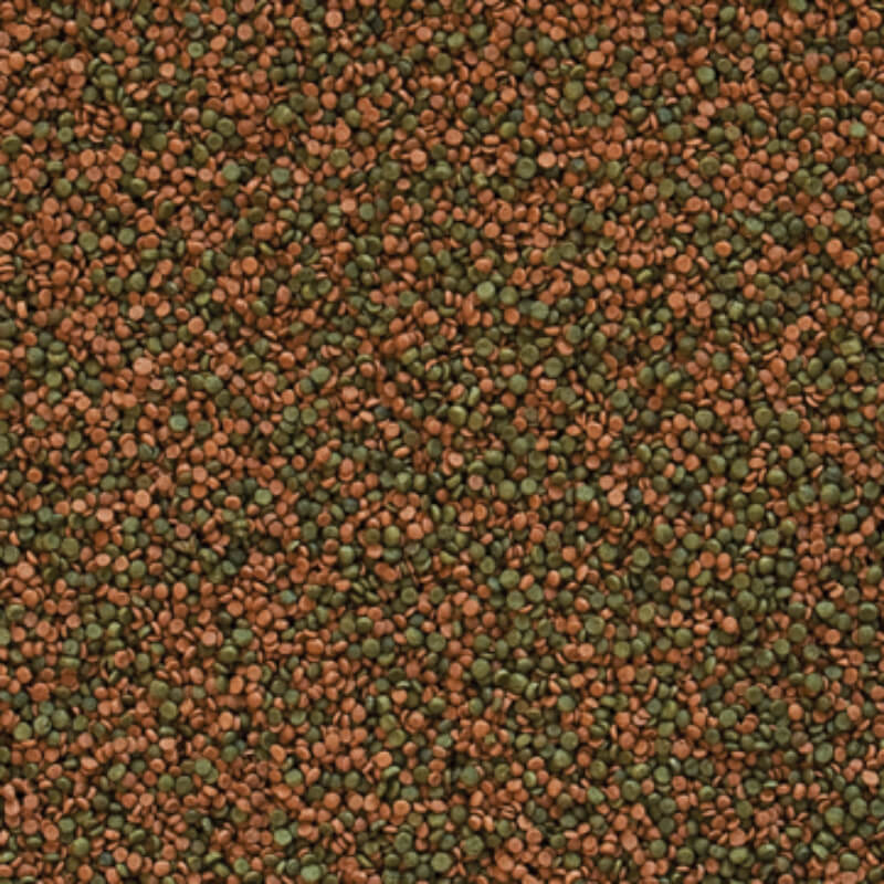 Tropical Cichlid Gran - 100 ml / 55 g (2)