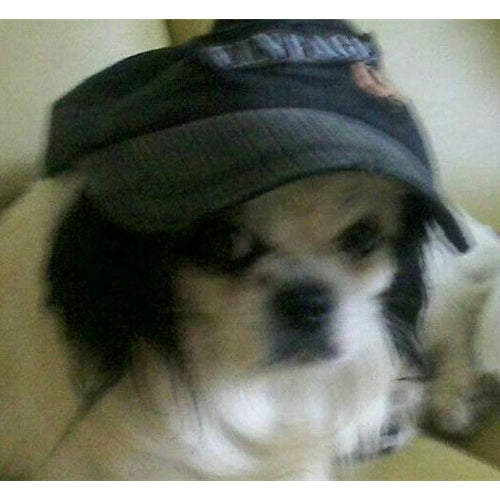 Mr.Pet spletna trgovina