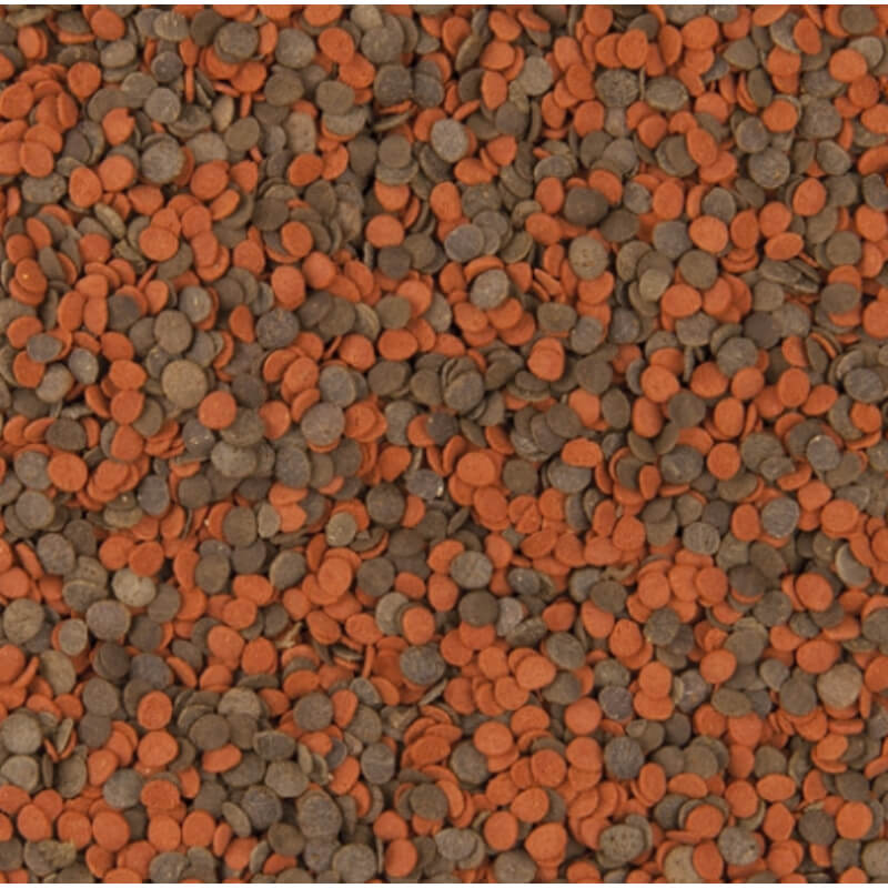 Tropical Cichlid Chips - 250 ml / 130 g (2)