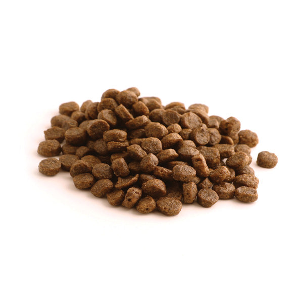 Fish4Dogs Adult - bela riba - majhni briketi - 6 kg (2)