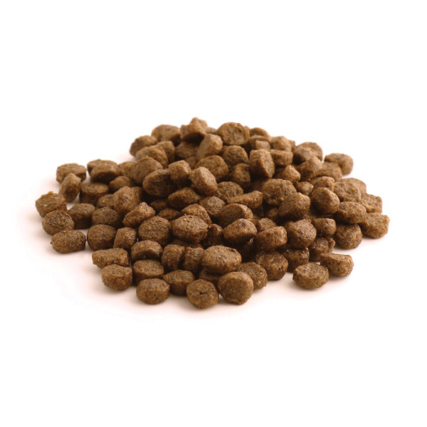 Fish4Dogs Adult - losos - majhni briketi - 1,5 kg (2)