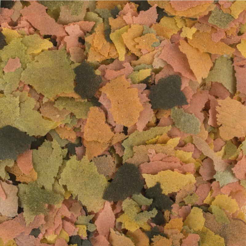 Tropical Supervit - 1000 ml / 200 g (2)