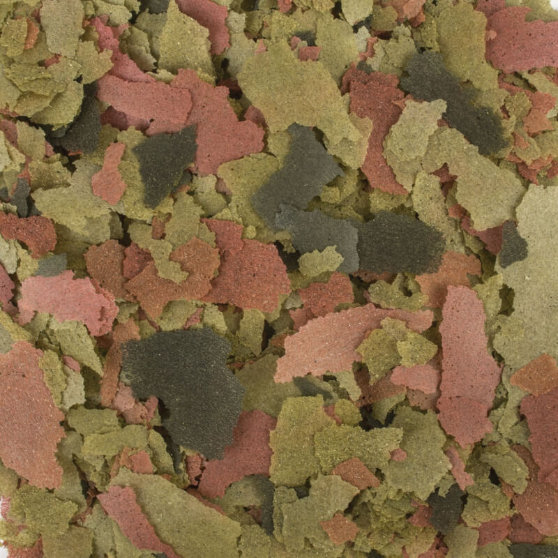 Tropical Malawi - 250 ml / 50 g (2)