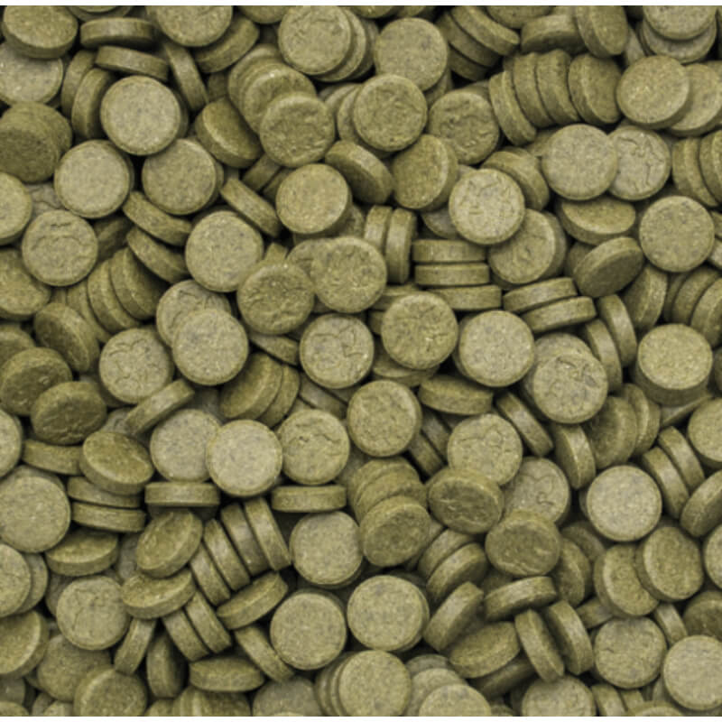 Tropical 3-Algae tablets A - 50 ml / 80 tablet (2)