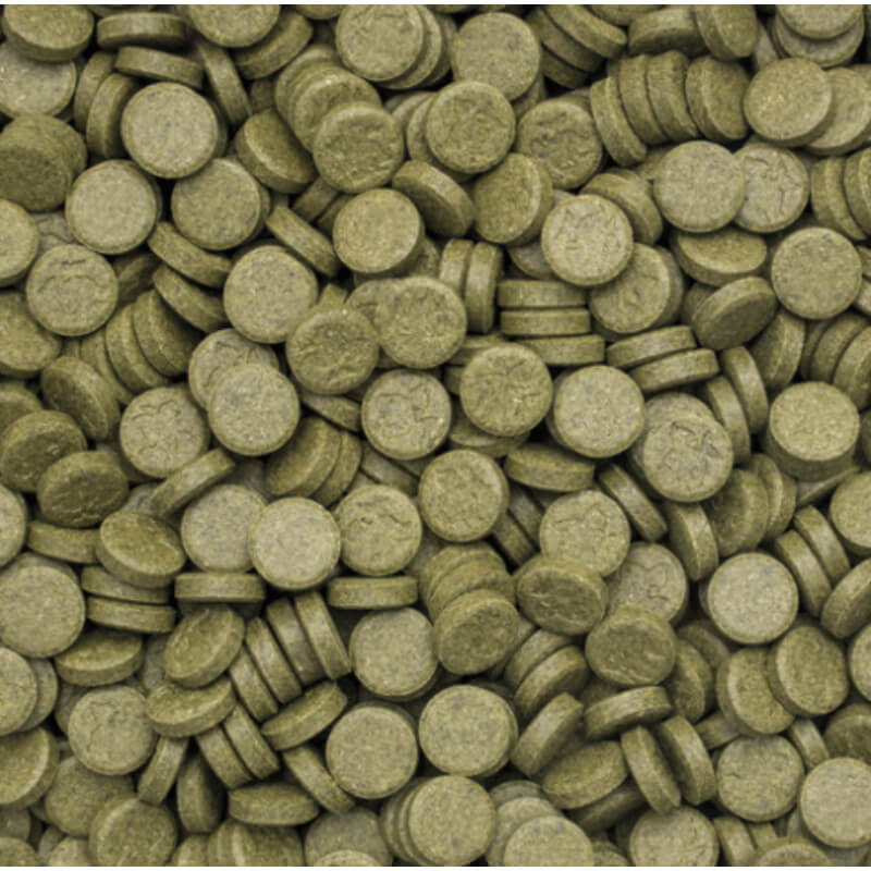 Tropical 3-Algae tablets A - 250 ml / 340 tablet (2)