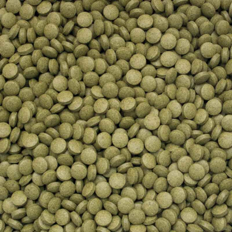 Tropical 3-Algae tablets B - 50 ml / 200 tablet (2)