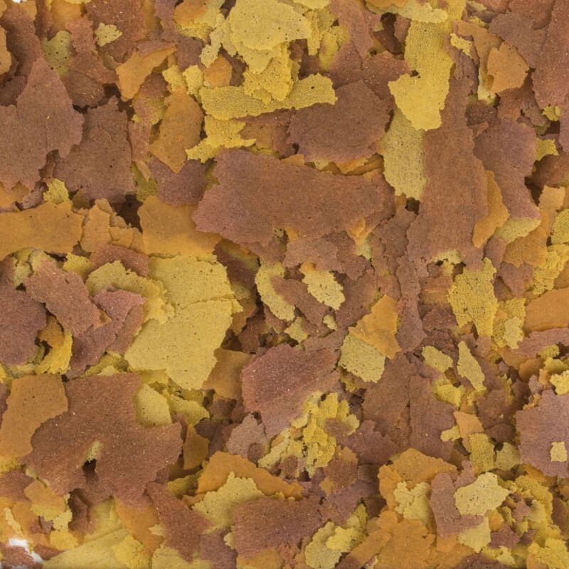 Tropical Vitality & Color - 250 ml / 50 g (2)