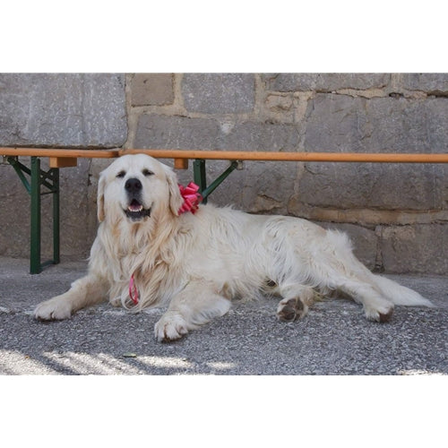 Mr.Pet spletna trgovina