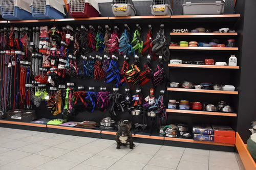 Spletna trgovina Mr.Pet