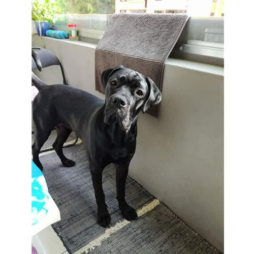 Mr.Pet spletna trgovina