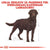Royal Canin Labrador Sterilised Adult - 12 kg (3)
