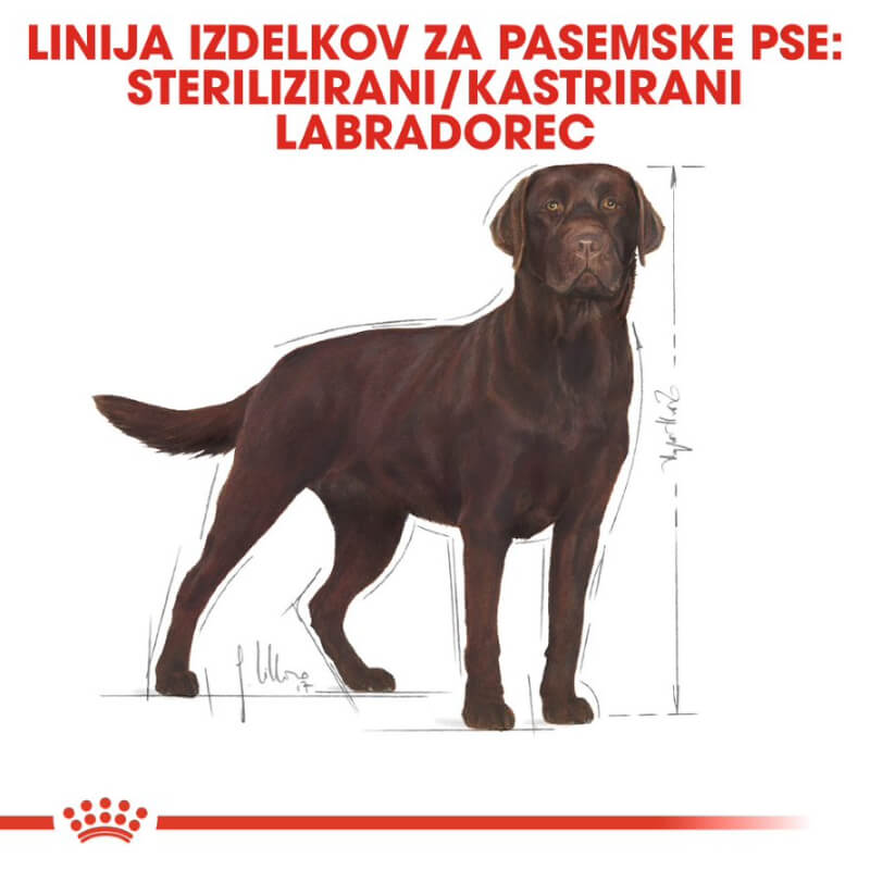 Royal Canin Labrador Sterilised Adult - 12 kg (3)
