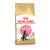 Royal Canin Maine Coon Kitten - 2 kg