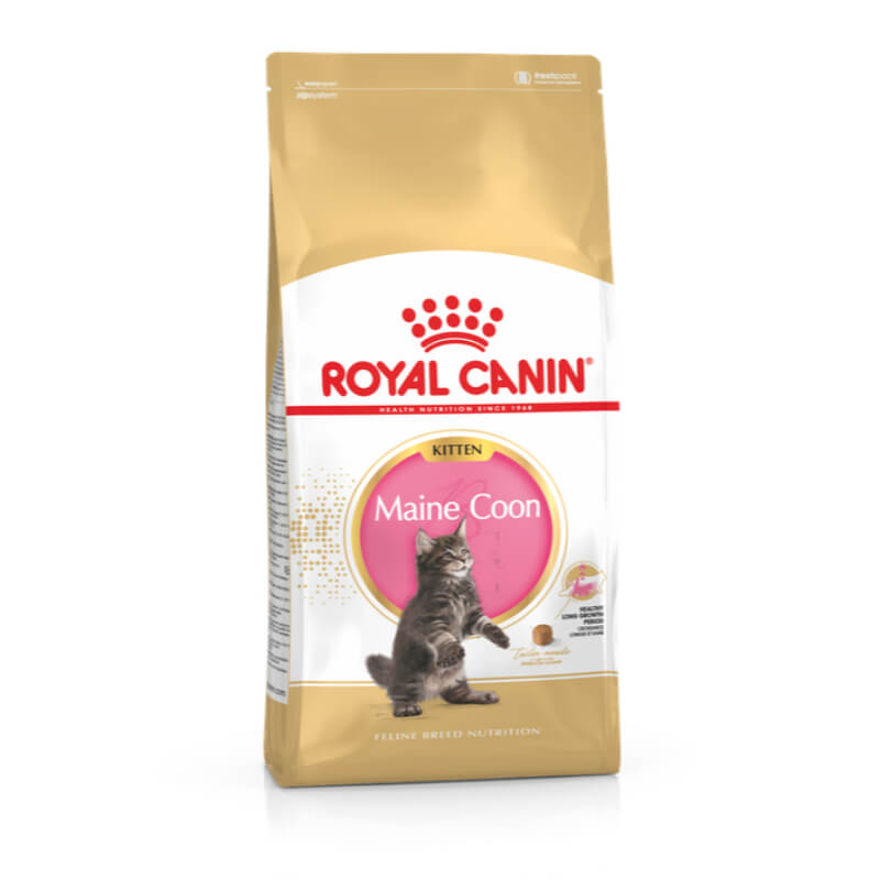 Royal Canin Maine Coon Kitten - 2 kg (4)