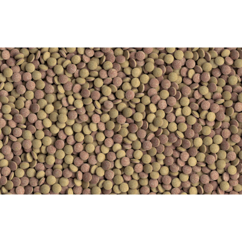 Tetra Tabimin - 275 tablet (2)