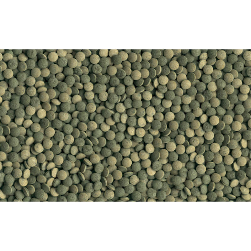 Tetra Pleco Tablets - 120 tablet (2)