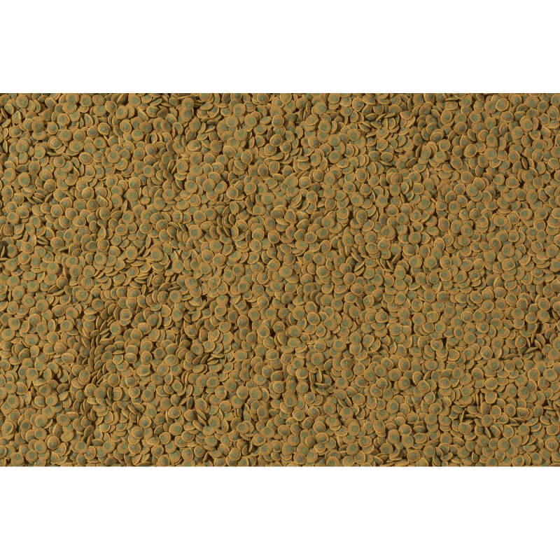 Tetra Pleco Veggie Wafers - 100 ml (2)