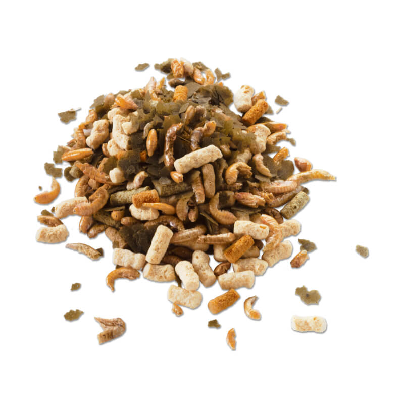 Tetra Pond Goldfish - 1 l (2)