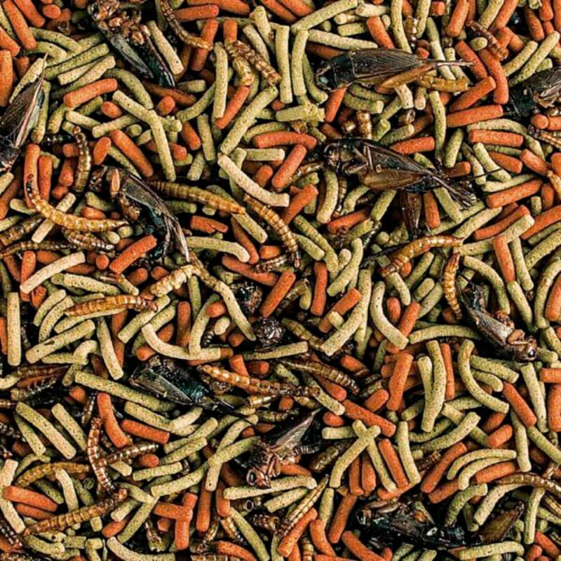 Tropical Soft Line mehka hrana za mesojede kuščarje - 260 g (2)