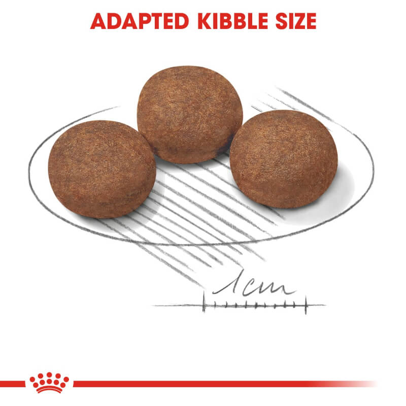 Royal Canin Medium Puppy (2)