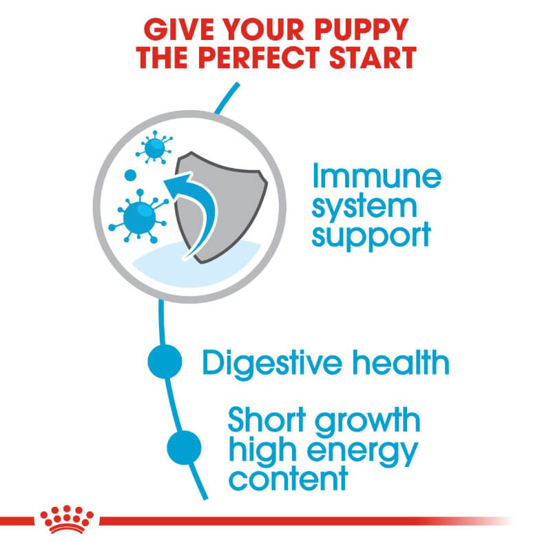 Royal Canin Medium Puppy (3)