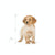 Royal Canin Medium Puppy (4)