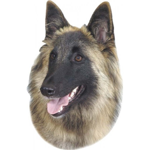 Pasemske nalepke, različne pasme (2 kos) - belgijski ovčar