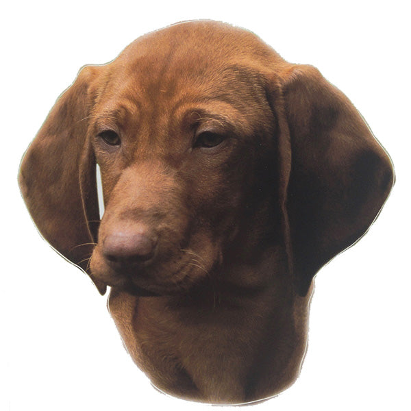 Pasemske nalepke, različne pasme (2 kos) - vizsla