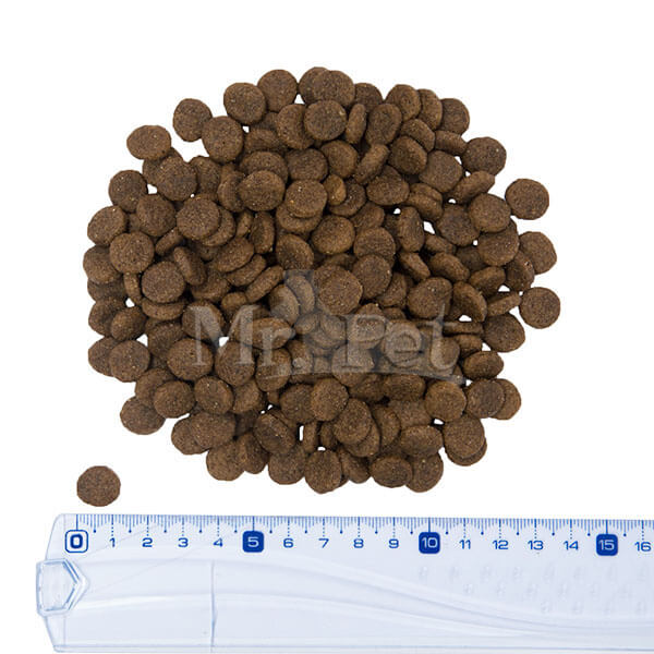 Taste Of The Wild Pacific Stream – prekajeni losos (4)